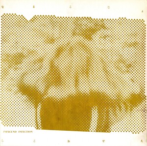 PUNGO(パンゴ)「1980-1981」アナログLP/ピナコテカレコード PUNGO(パンゴ)「1980-1981」アナログLP/ピナコテカレコード